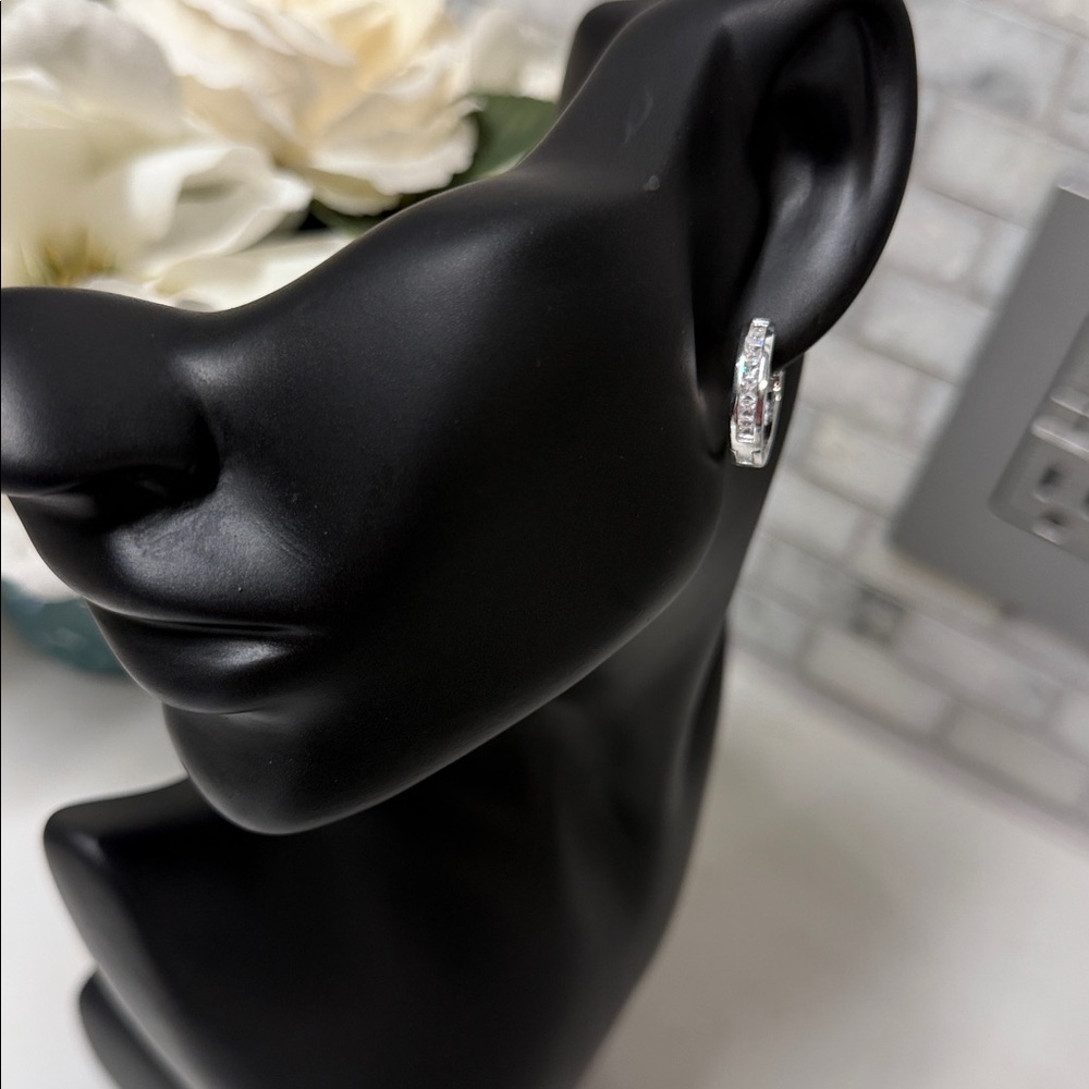Elegant Silver Hoop Earrings